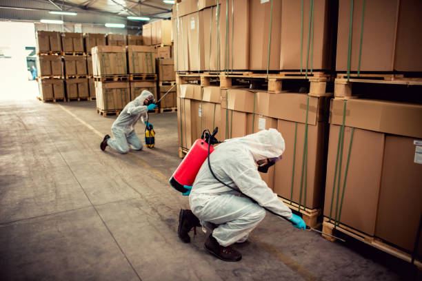 Best Affordable Pest Control Services  in Corona, CA