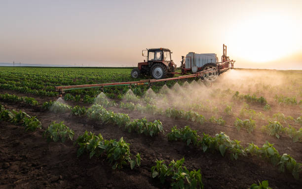 Reliable Corona, CA Pest Control Solutions