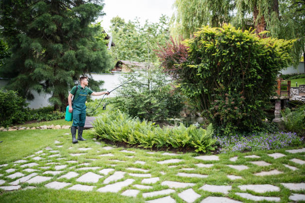 Best Pest Prevention Services  in Corona, CA