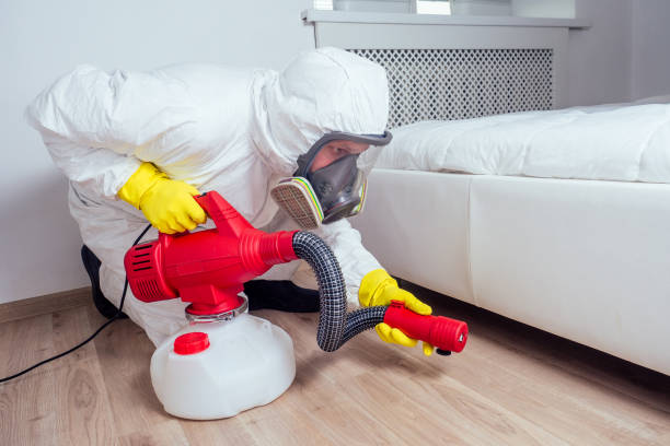 Best Pest Control Near Me  in Corona, CA