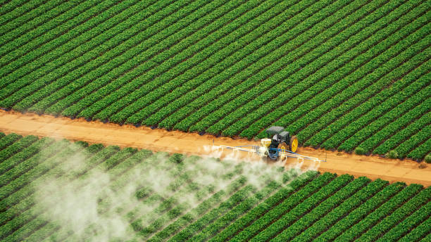 Best Commercial Pest Control Services  in Corona, CA